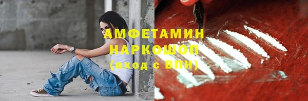 твердый Инта