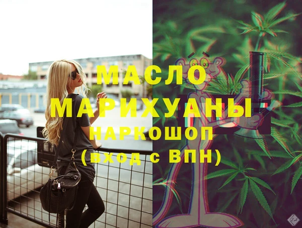 твердый Инта