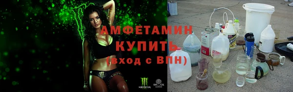 твердый Инта