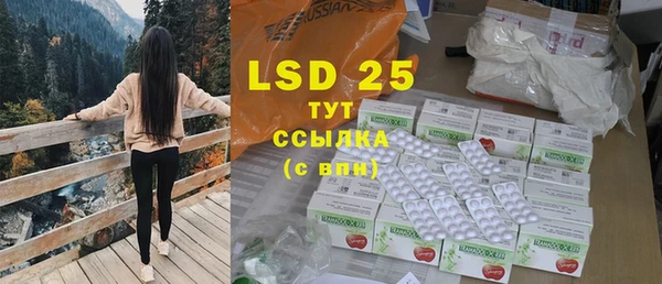 твердый Инта