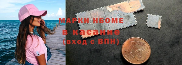 твердый Инта