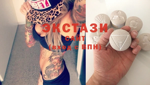 твердый Инта