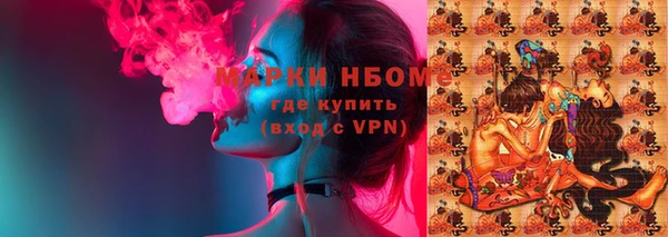 твердый Инта