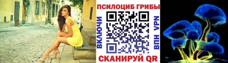 Галлюциногенные грибы GOLDEN TEACHER  Купить где  Сясьстрой 